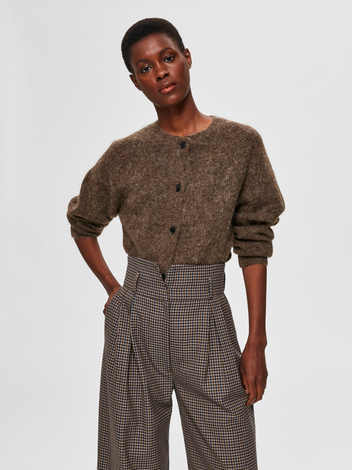 SLFLULU Cardigan - dachshund